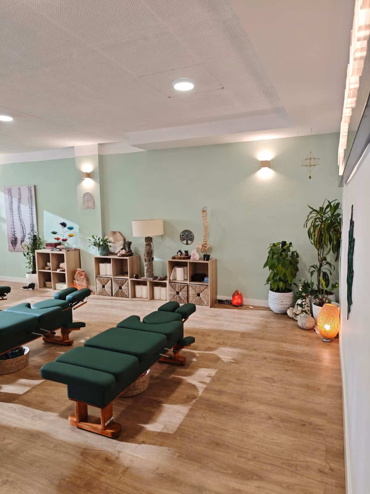 Rincón de la sala con la pared verde menta, estanterías de madera y dos camillas.